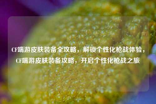 CF端游皮肤装备全攻略，解锁个性化枪战体验，CF端游皮肤装备攻略，开启个性化枪战之旅