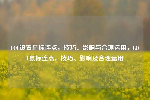 LOL设置鼠标连点,技巧、影响与合理运用,LOL鼠标连点,技巧、影响及合理运用