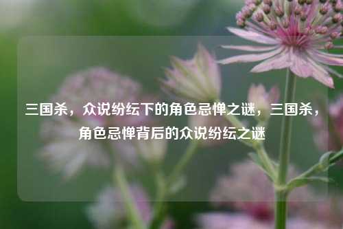三国杀,众说纷纭下的角色忌惮之谜,三国杀,角色忌惮背后的众说纷纭之谜