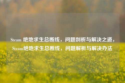 Steam 绝地求生总断线，问题剖析与解决之道，Steam绝地求生总断线，问题解析与解决办法