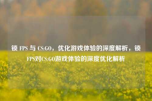 锁 FPS 与 CS:GO,优化游戏体验的深度解析,锁FPS对CS:GO游戏体验的深度优化解析