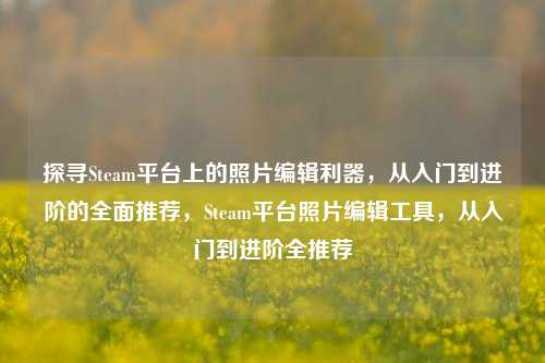 探寻Steam平台上的照片编辑利器，从入门到进阶的全面推荐，Steam平台照片编辑工具，从入门到进阶全推荐