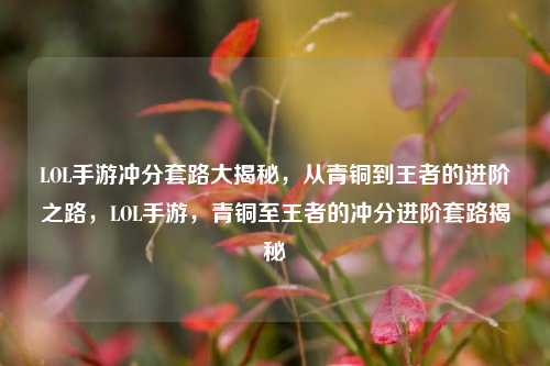 LOL手游冲分套路大揭秘,从青铜到王者的进阶之路,LOL手游,青铜至王者的冲分进阶套路揭秘