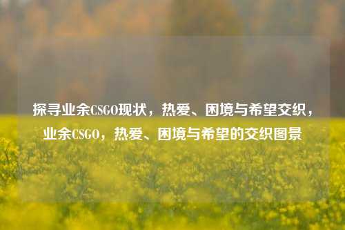 探寻业余CSGO现状，热爱、困境与希望交织，业余CSGO，热爱、困境与希望的交织图景