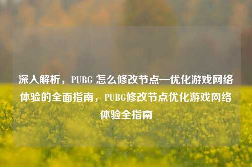 深入解析,PUBG 怎么修改节点—优化游戏网络体验的全面指南,PUBG修改节点优化游戏网络体验全指南