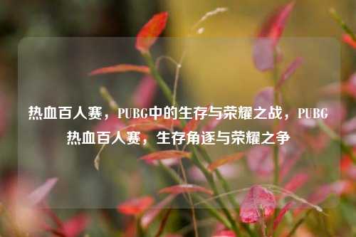 热血百人赛,PUBG中的生存与荣耀之战,PUBG热血百人赛,生存角逐与荣耀之争