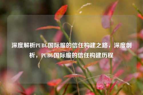 深度解析PUBG国际服的信任构建之路,深度剖析,PUBG国际服的信任构建历程