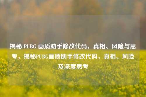 揭秘 PUBG 画质助手修改代码,真相、风险与思考,揭秘PUBG画质助手修改代码,真相、风险及深度思考