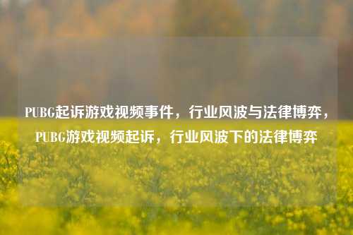 PUBG起诉游戏视频事件,行业风波与法律博弈,PUBG游戏视频起诉,行业风波下的法律博弈