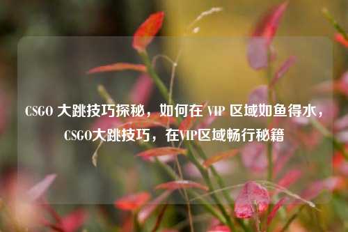 CSGO 大跳技巧探秘,如何在 VIP 区域如鱼得水,CSGO大跳技巧,在VIP区域畅行秘籍
