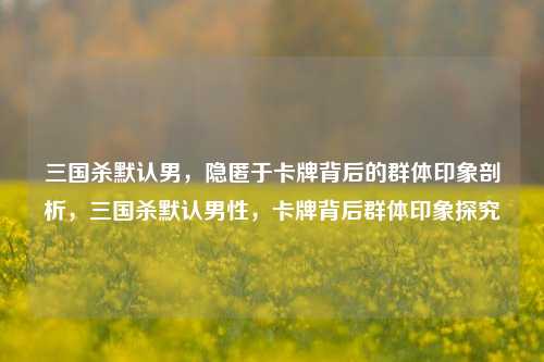 三国杀默认男，隐匿于卡牌背后的群体印象剖析，三国杀默认男性，卡牌背后群体印象探究