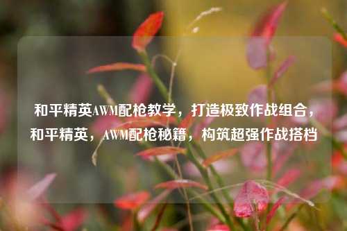 和平精英AWM配枪教学,打造极致作战组合,和平精英,AWM配枪秘籍,构筑超强作战搭档