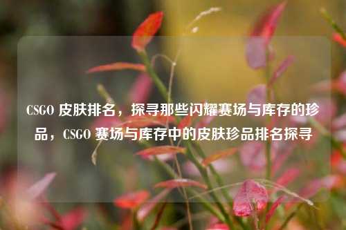 CSGO 皮肤排名，探寻那些闪耀赛场与库存的珍品，CSGO 赛场与库存中的皮肤珍品排名探寻