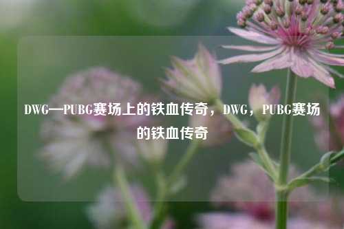 DWG—PUBG赛场上的铁血传奇，DWG，PUBG赛场的铁血传奇