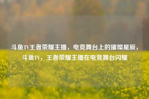 斗鱼TV王者荣耀主播，电竞舞台上的璀璨星辰，斗鱼TV，王者荣耀主播在电竞舞台闪耀