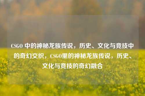 CSGO 中的神秘龙族传说,历史、文化与竞技中的奇幻交织,CSGO里的神秘龙族传说,历史、文化与竞技的奇幻融合