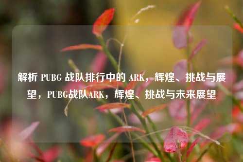 解析 PUBG 战队排行中的 ARK，辉煌、挑战与展望，PUBG战队ARK，辉煌、挑战与未来展望