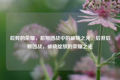 后羿的荣耀，后期团战中的破晓之光，后羿后期团战，破晓绽放的荣耀之光