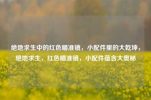 绝地求生中的红色瞄准镜，小配件里的大乾坤，绝地求生，红色瞄准镜，小配件蕴含大奥秘