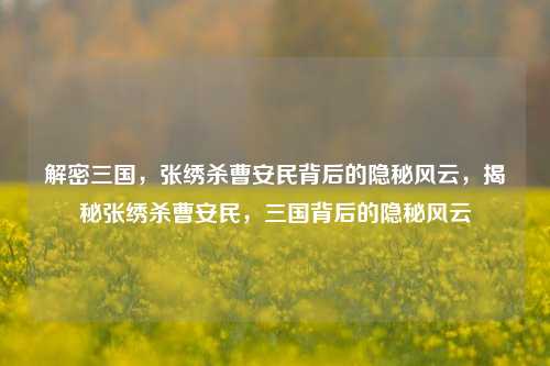 解密三国，张绣杀曹安民背后的隐秘风云，揭秘张绣杀曹安民，三国背后的隐秘风云