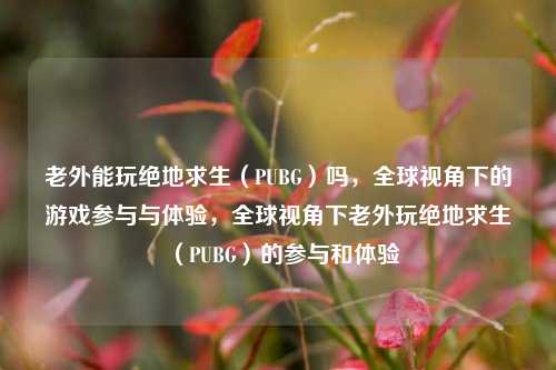 老外能玩绝地求生(PUBG)吗,全球视角下的游戏参与与体验,全球视角下老外玩绝地求生(PUBG)的参与和体验