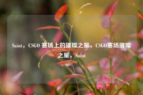 Saint，CSGO 赛场上的璀璨之星，CSGO赛场璀璨之星，Saint