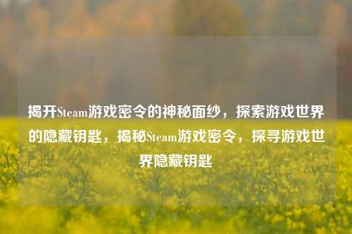 揭开Steam游戏密令的神秘面纱，探索游戏世界的隐藏钥匙，揭秘Steam游戏密令，探寻游戏世界隐藏钥匙