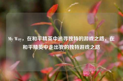 My Way，在和平精英中追寻独特的游戏之路，在和平精英中走出我的独特游戏之路