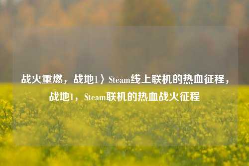 战火重燃，战地1〉Steam线上联机的热血征程，战地1，Steam联机的热血战火征程