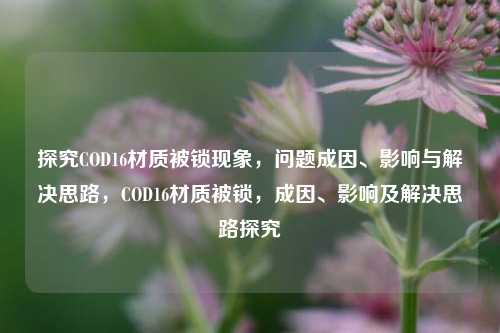 探究COD16材质被锁现象，问题成因、影响与解决思路，COD16材质被锁，成因、影响及解决思路探究