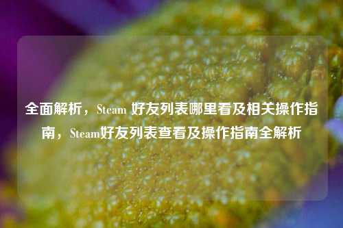 全面解析，Steam 好友列表哪里看及相关操作指南，Steam好友列表查看及操作指南全解析