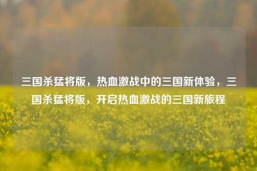 三国杀猛将版，热血激战中的三国新体验，三国杀猛将版，开启热血激战的三国新旅程