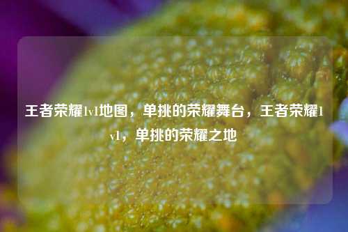 王者荣耀1v1地图，单挑的荣耀舞台，王者荣耀1v1，单挑的荣耀之地