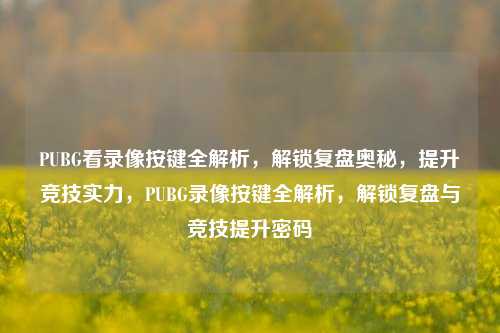 PUBG看录像按键全解析，解锁复盘奥秘，提升竞技实力，PUBG录像按键全解析，解锁复盘与竞技提升密码