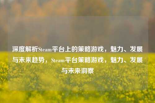 深度解析Steam平台上的策略游戏，魅力、发展与未来趋势，Steam平台策略游戏，魅力、发展与未来洞察