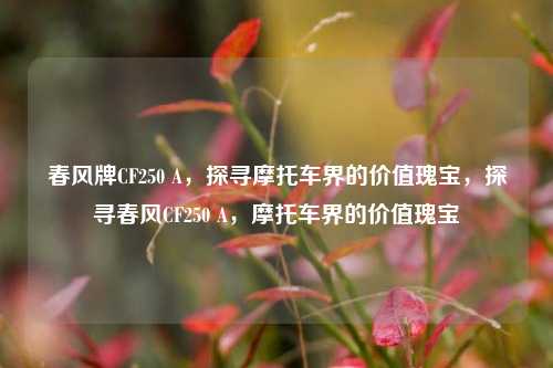 春风牌CF250 A,探寻摩托车界的价值瑰宝,探寻春风CF250 A,摩托车界的价值瑰宝