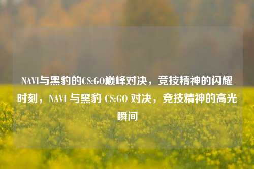 NAVI与黑豹的CS:GO巅峰对决，竞技精神的闪耀时刻，NAVI 与黑豹 CS:GO 对决，竞技精神的高光瞬间