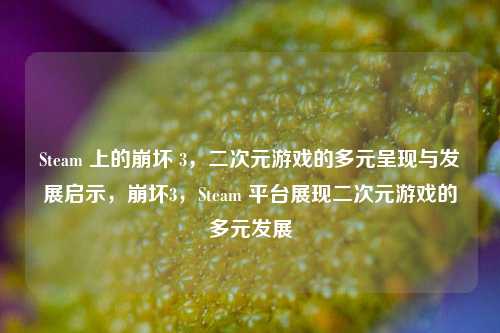 Steam 上的崩坏 3，二次元游戏的多元呈现与发展启示，崩坏3，Steam 平台展现二次元游戏的多元发展