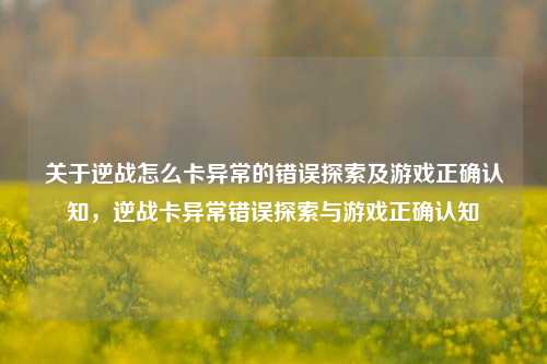 关于逆战怎么卡异常的错误探索及游戏正确认知，逆战卡异常错误探索与游戏正确认知