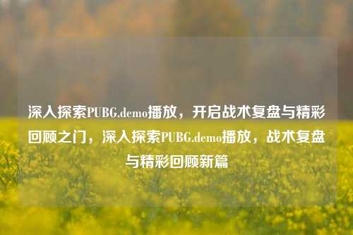 深入探索PUBG.demo播放，开启战术复盘与精彩回顾之门，深入探索PUBG.demo播放，战术复盘与精彩回顾新篇