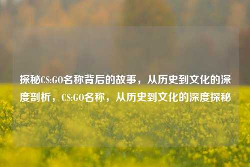 探秘CS:GO名称背后的故事,从历史到文化的深度剖析,CS:GO名称,从历史到文化的深度探秘
