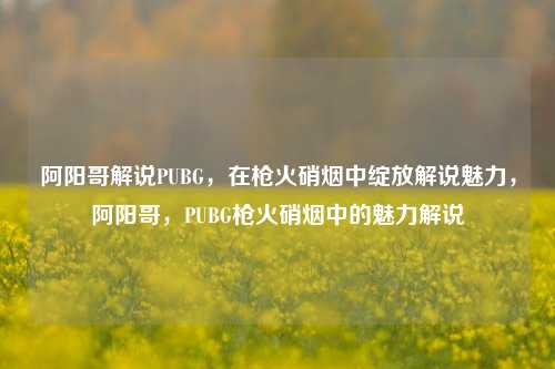 阿阳哥解说PUBG，在枪火硝烟中绽放解说魅力，阿阳哥，PUBG枪火硝烟中的魅力解说