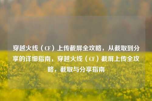 穿越火线（CF）上传截屏全攻略，从截取到分享的详细指南，穿越火线（CF）截屏上传全攻略，截取与分享指南