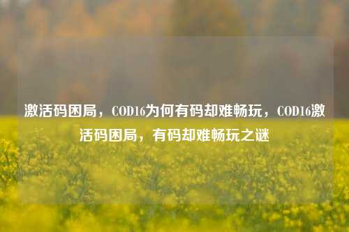 激活码困局，COD16为何有码却难畅玩，COD16激活码困局，有码却难畅玩之谜