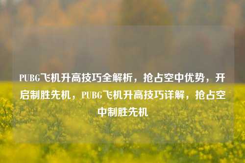 PUBG飞机升高技巧全解析，抢占空中优势，开启制胜先机，PUBG飞机升高技巧详解，抢占空中制胜先机