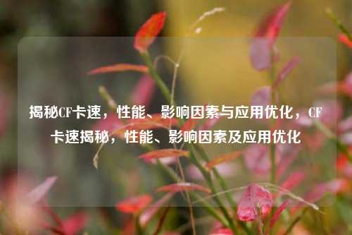 揭秘CF卡速,性能、影响因素与应用优化,CF卡速揭秘,性能、影响因素及应用优化