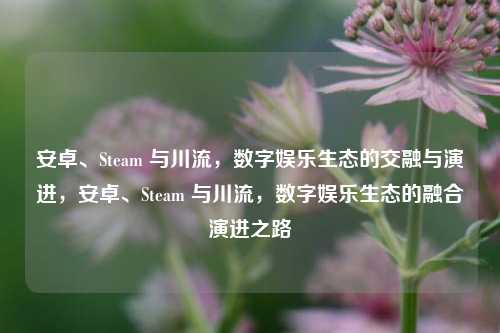 安卓、Steam 与川流，数字娱乐生态的交融与演进，安卓、Steam 与川流，数字娱乐生态的融合演进之路