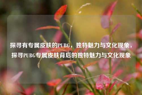 探寻有专属皮肤的PUBG，独特魅力与文化现象，探寻PUBG专属皮肤背后的独特魅力与文化现象