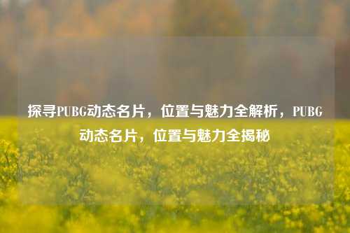 探寻PUBG动态名片，位置与魅力全解析，PUBG动态名片，位置与魅力全揭秘