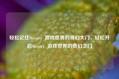 轻松记住Steam，游戏世界的奇幻大门，轻松开启Steam，游戏世界的奇幻之门